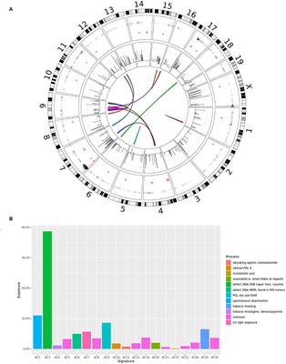 Multi-Omics Characterization of the 4T1 Murine Mammary Gland Tumor Model